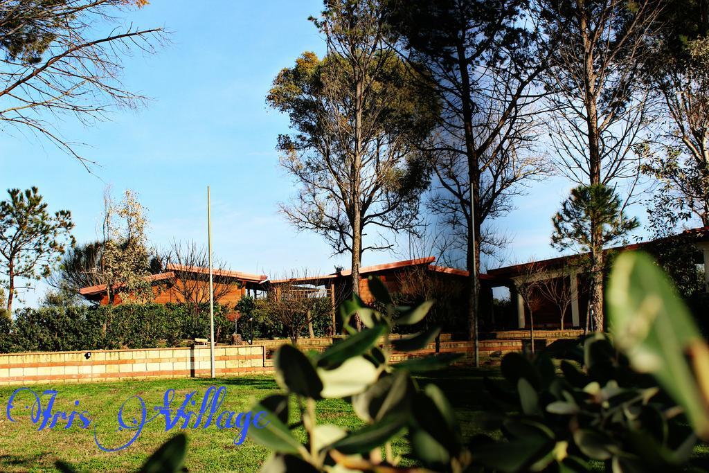 Iris Village San Sostene Exteriör bild